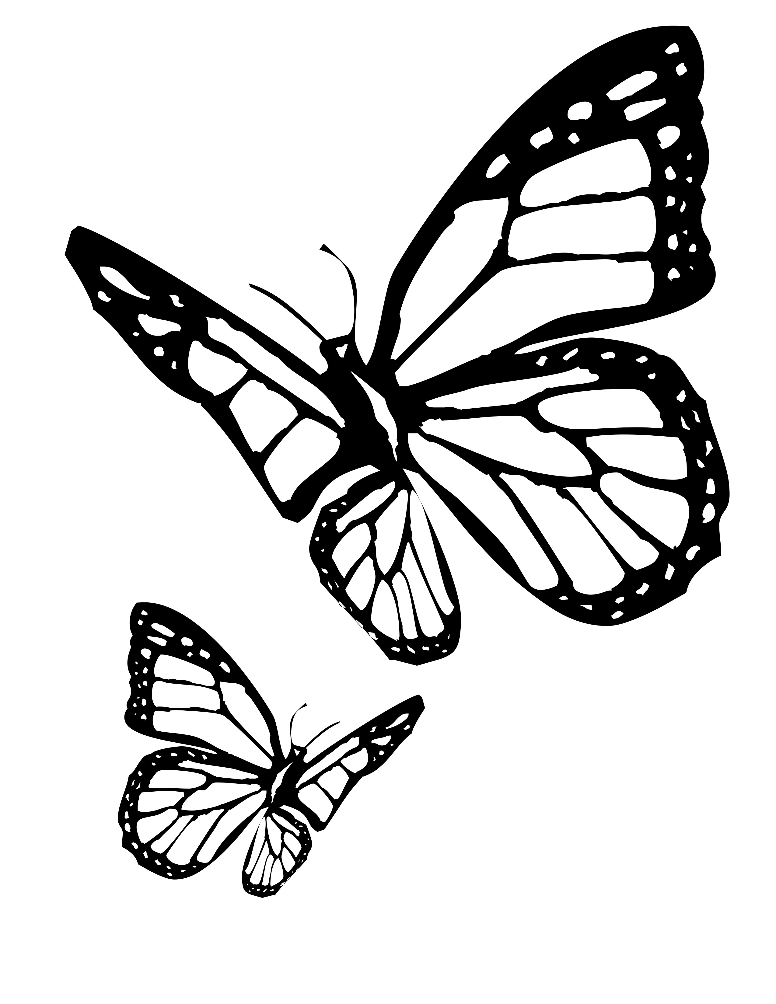 free-printable-butterfly-coloring-pages-for-kids