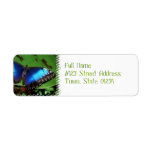 Blue Wing Butterfly Mailing Labels