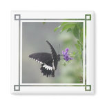 Butterfly Garden Square Magnet